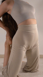 patas de Camelo