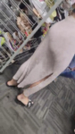 Porra que delicia