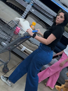 Latina com um belo traseiro em jeans apertados, perfeita par