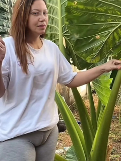 Exibidas Gostosas