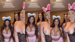 Três gatinhas
