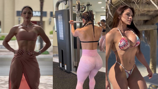 Taneth Compilation 16