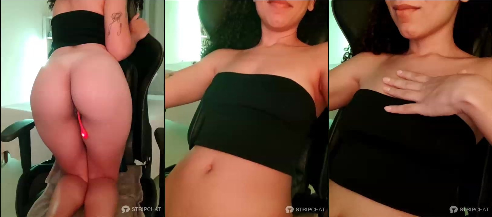 faun4 — latina, web
