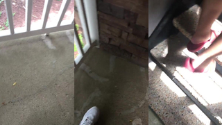 Videos de Rabudas